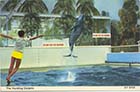 Queens Gardens Butlins Queens Highcliffe Hotel Dolphinarium   | Margate History